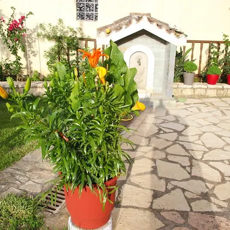 Dimitra